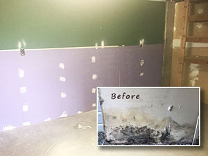 Mold Remediation